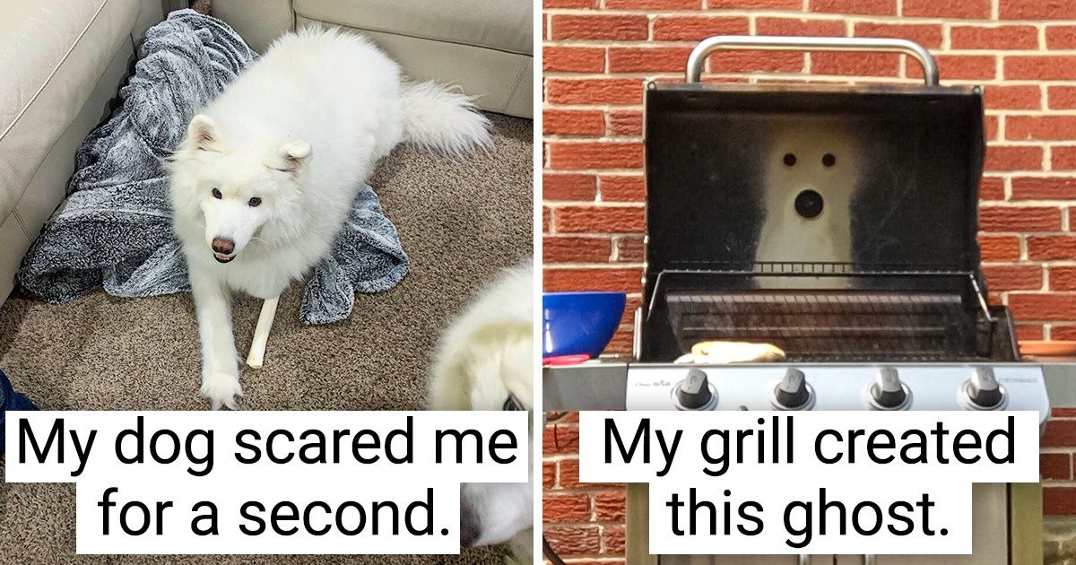22 Accidental Art Pieces That Were Perfectly “Designed” for the Spooky Season