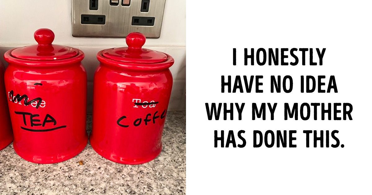 19 People Who Have Broken All the Laws of Logic 19 People Who Have Broken All the Laws of Logic