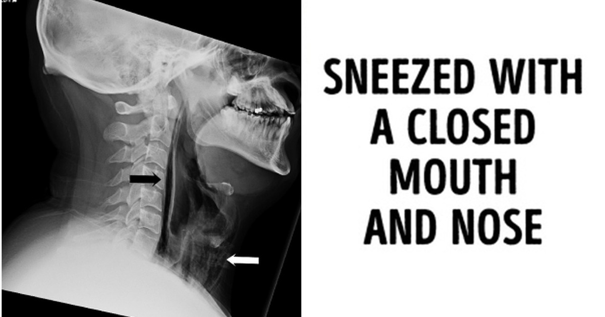 9 Eye-Opening Photos We Wish We’d Seen in School Textbooks