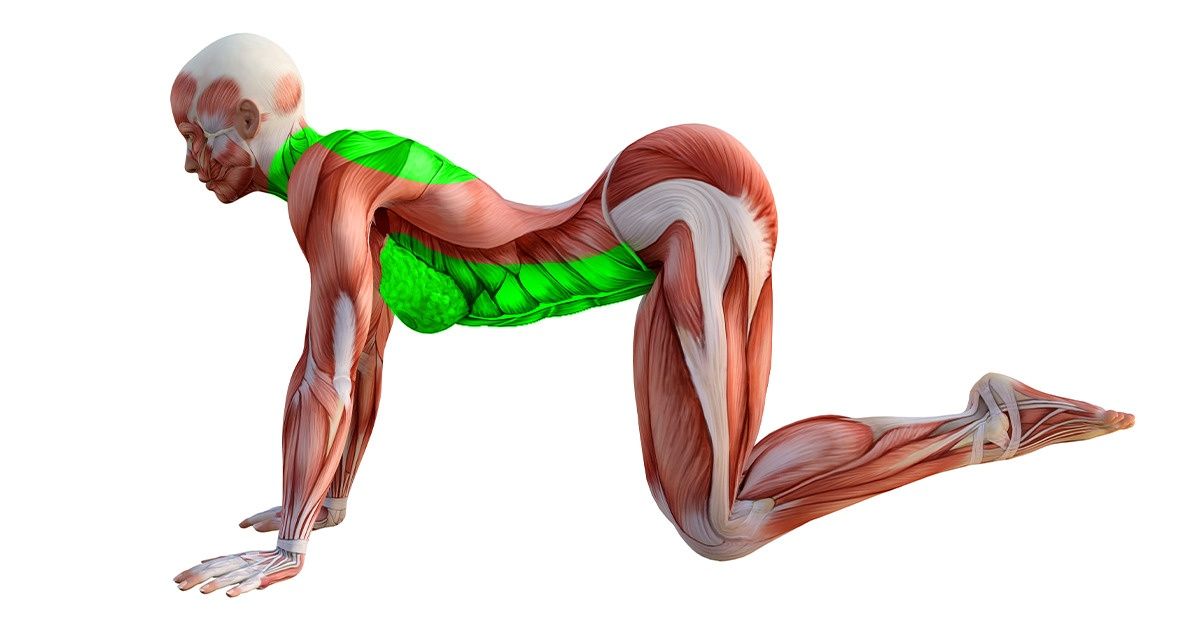 10 Quick Stretches Your Body Will Thank You For 10 Quick Stretches Your Body Will Thank You For
