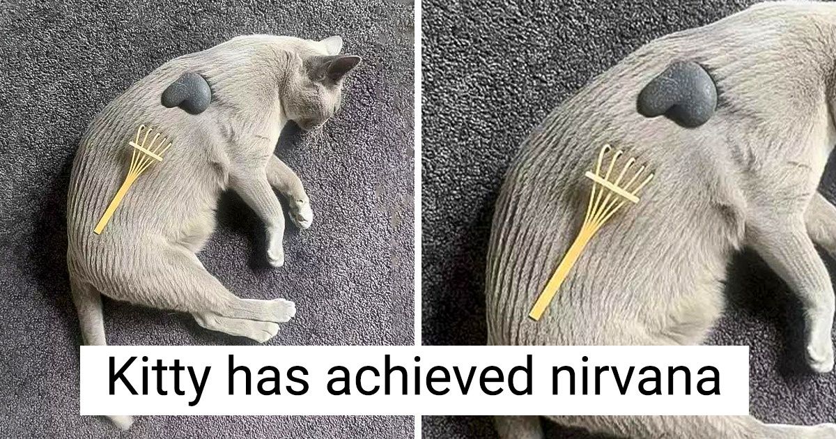 15 Pics That Just Melt Our Hearts With Their Warmth