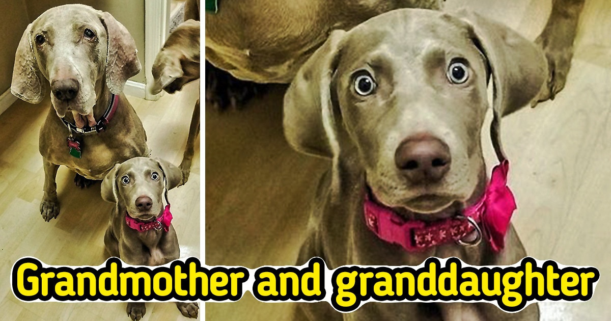 13 Photos That Can Stop Your Heart for a Moment and Get It Going Again 13 Photos That Can Stop Your Heart for a Moment and Get It Going Again