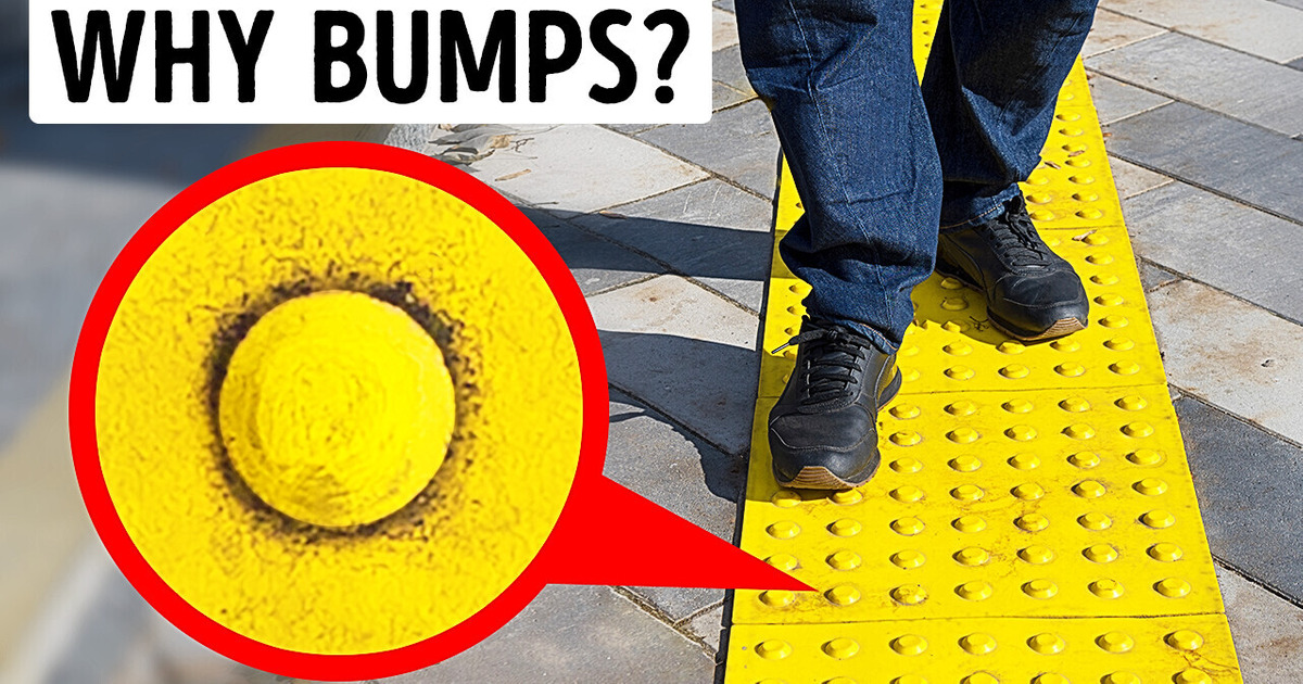 Сheck If You Use 14 Simple Objects What They’re Really For