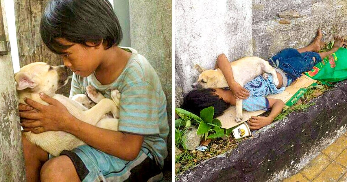 23 Photos With Tear-Shedding Stories Behind Them 23 Photos With Tear-Shedding Stories Behind Them