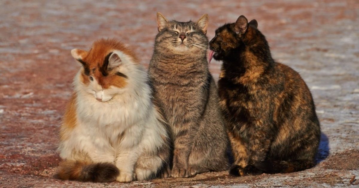 20 best National Geographic photos of 2015