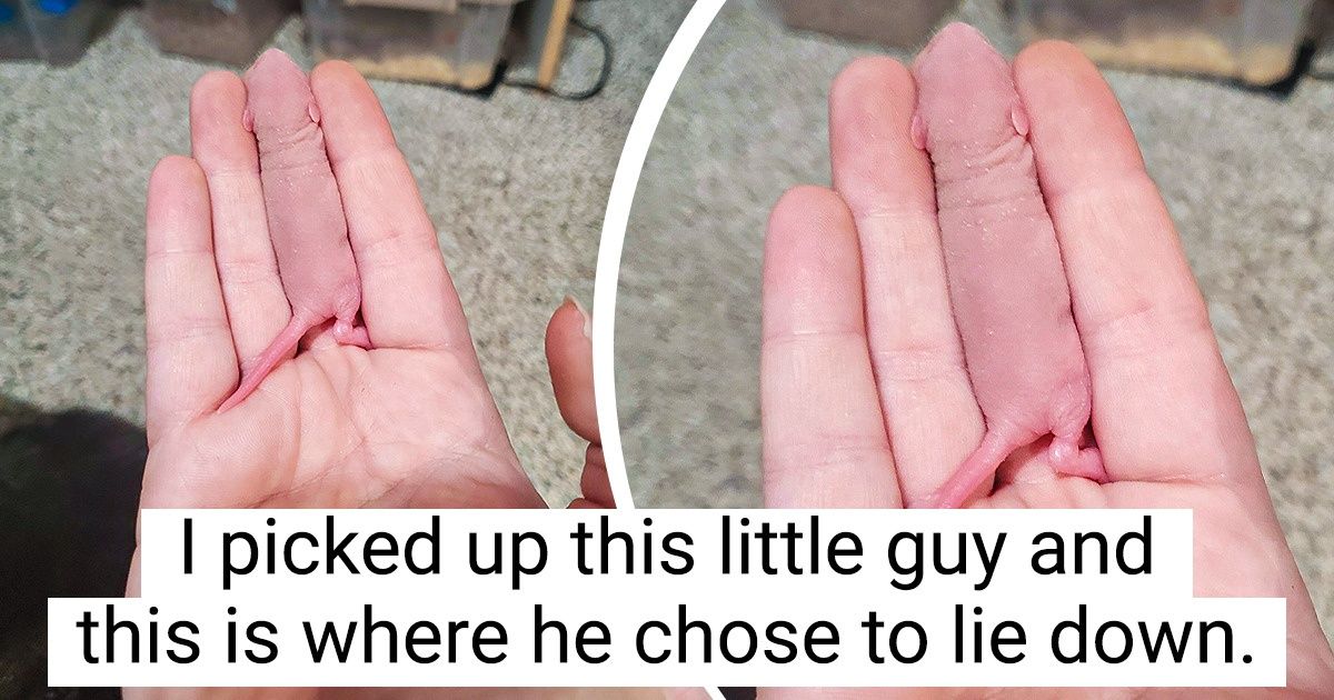 20 Times Perspective Was So Warped That It Even Baffled Our Brain