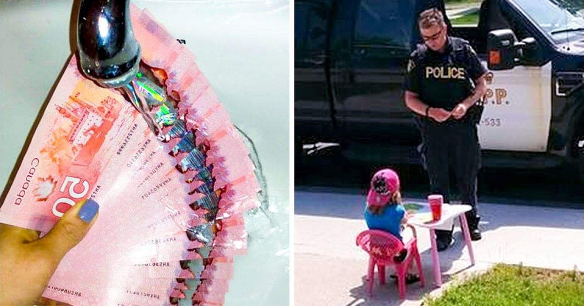 10+ Answers to the Question “Why Does Nobody Leave Canada?”