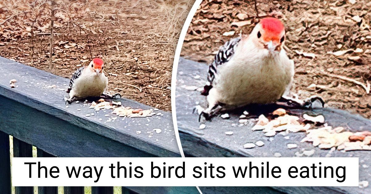 15 Pics That Prove Mother Nature Loves to Put On a Good Show