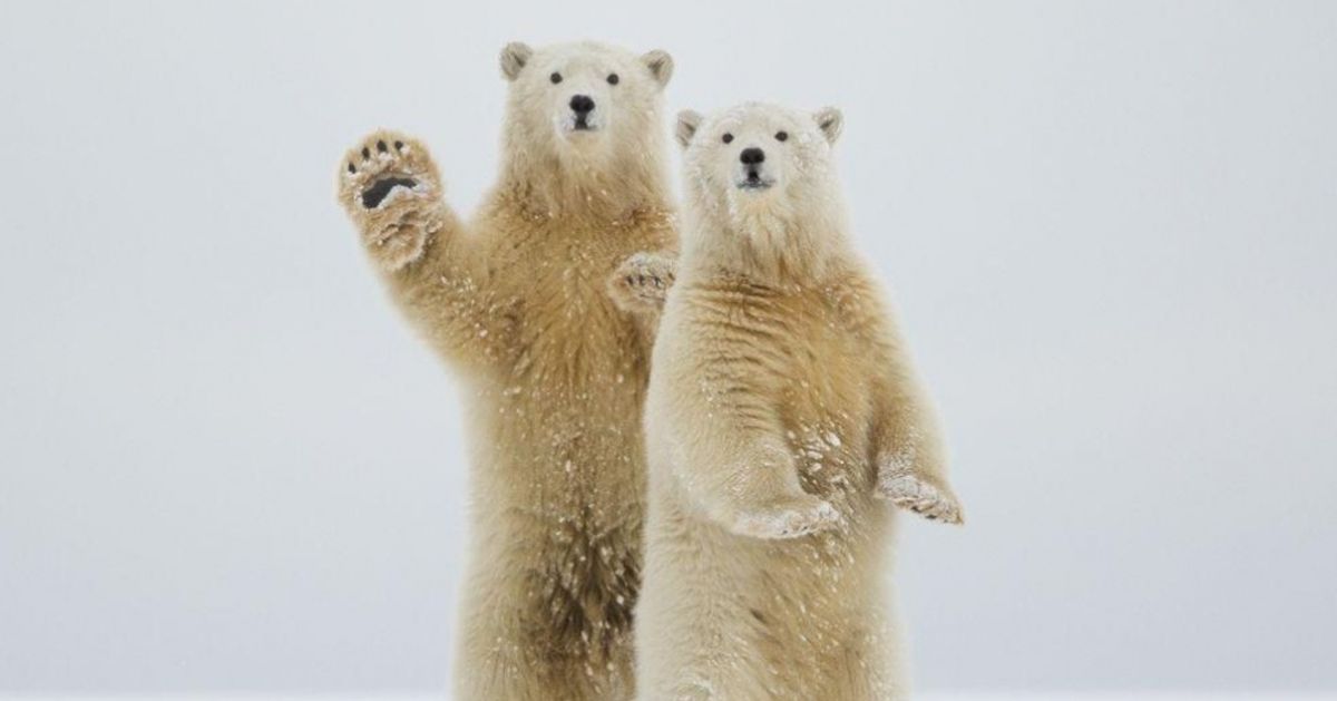 The 25 most impressive photos from National Geographic 2015
