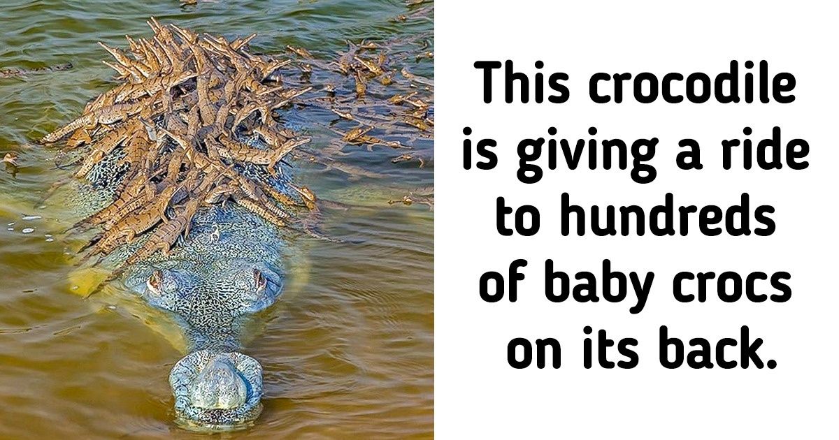 20 Photos That Will Challenge Anyone Who Ever Said, “Now I Have Seen Everything”