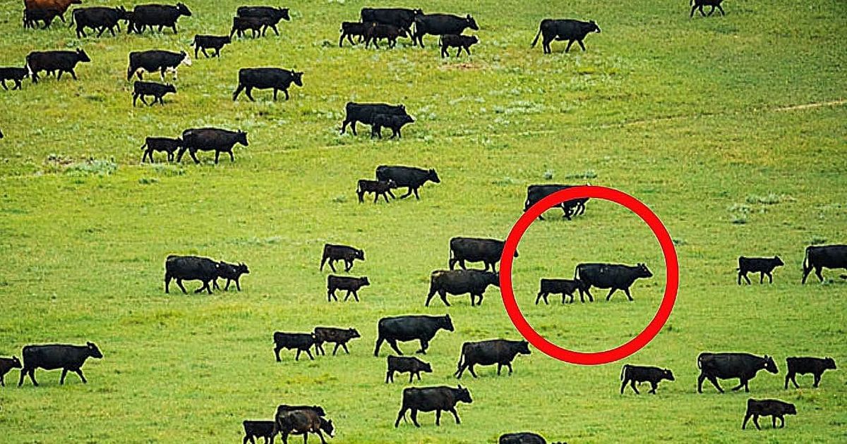 11 Surprising Mysteries Scientists Can’t Explain 11 Surprising Mysteries Scientists Can’t Explain