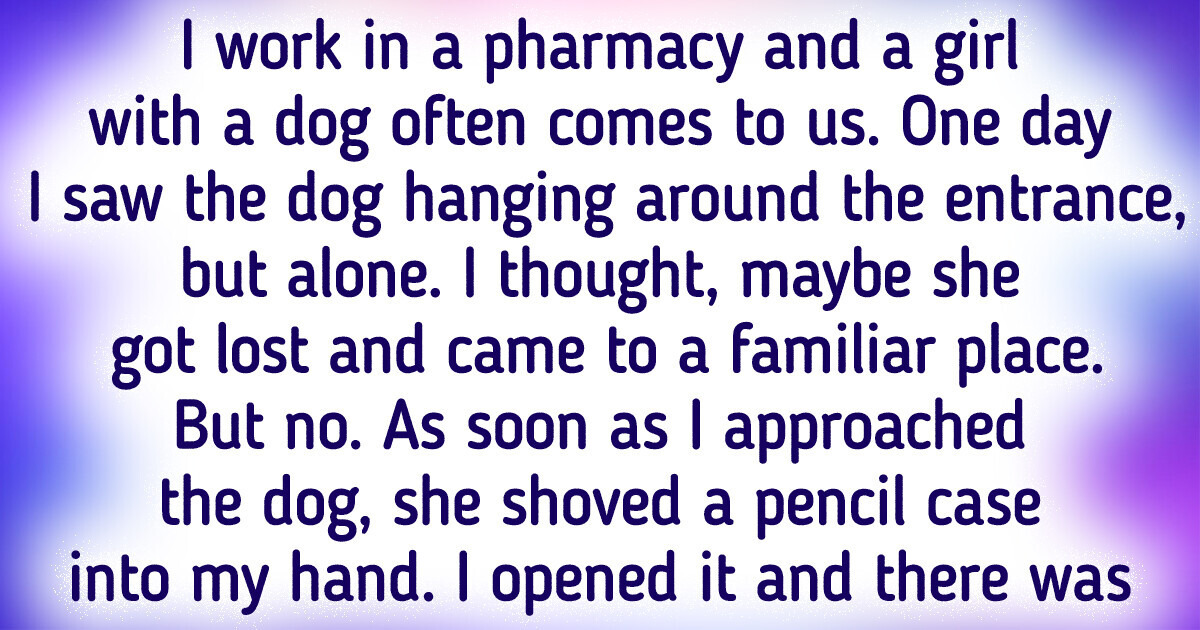 20 Animals That Would Pass a Genius Test With No Problems