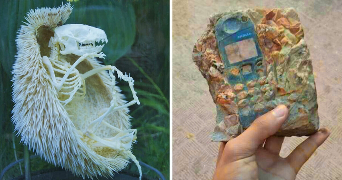 20 Chilling Sights That Left People Frozen in Disbelief 20 Chilling Sights That Left People Frozen in Disbelief