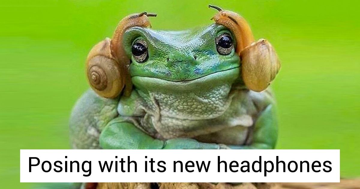 20 Uproarious Photos That Prove Nature Enjoys Making Life Fun 20 Uproarious Photos That Prove Nature Enjoys Making Life Fun