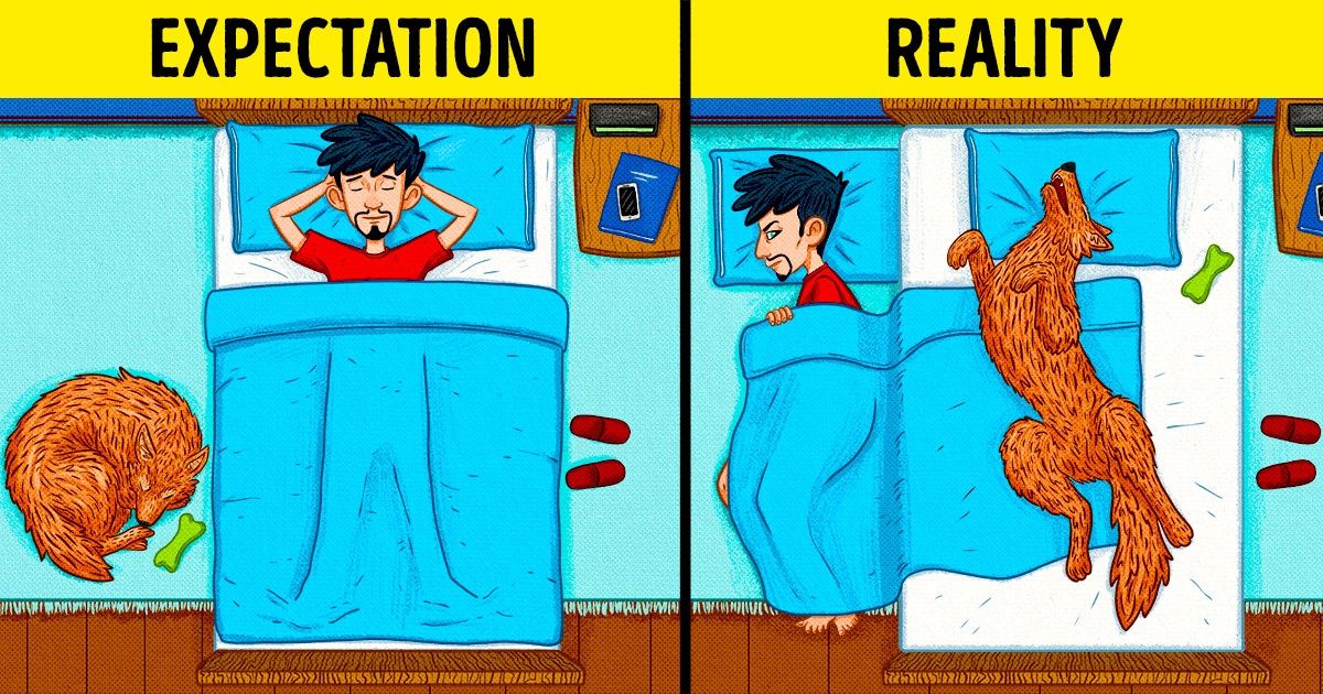 35 Pictures That Show Life With Animals the Way It Is