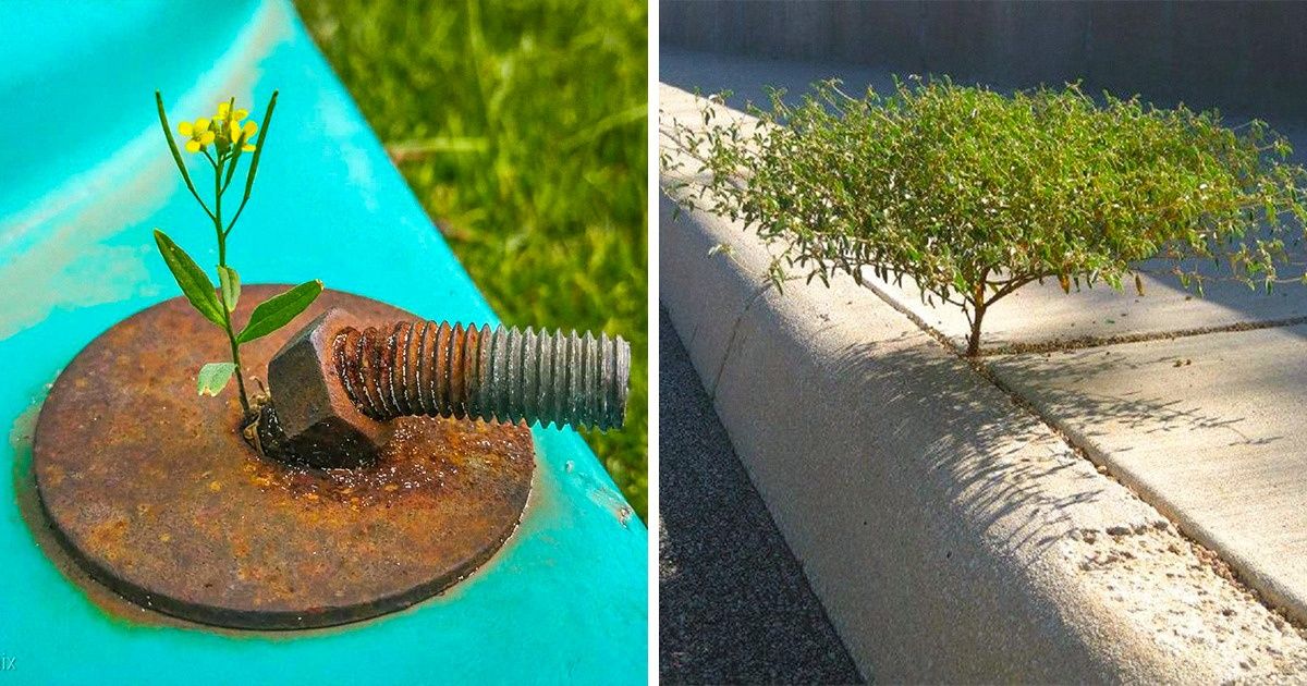 20+ Powerful Photos That Prove Nature Rules the World