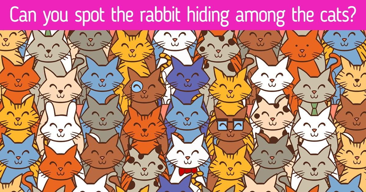 Test: Prove You Have Amazing Powers of Observation by Finding the Odd One Out