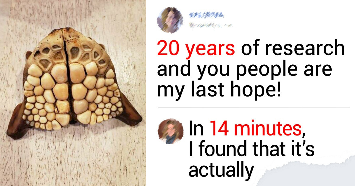 15+ Strange Items That Had People Guessing Their Real Purposes / Bright Side