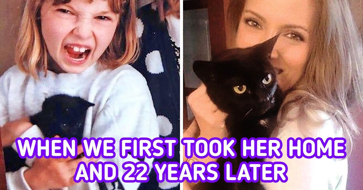 25 Photos That Prove Pets Can Make Any Family Happier Than Ever