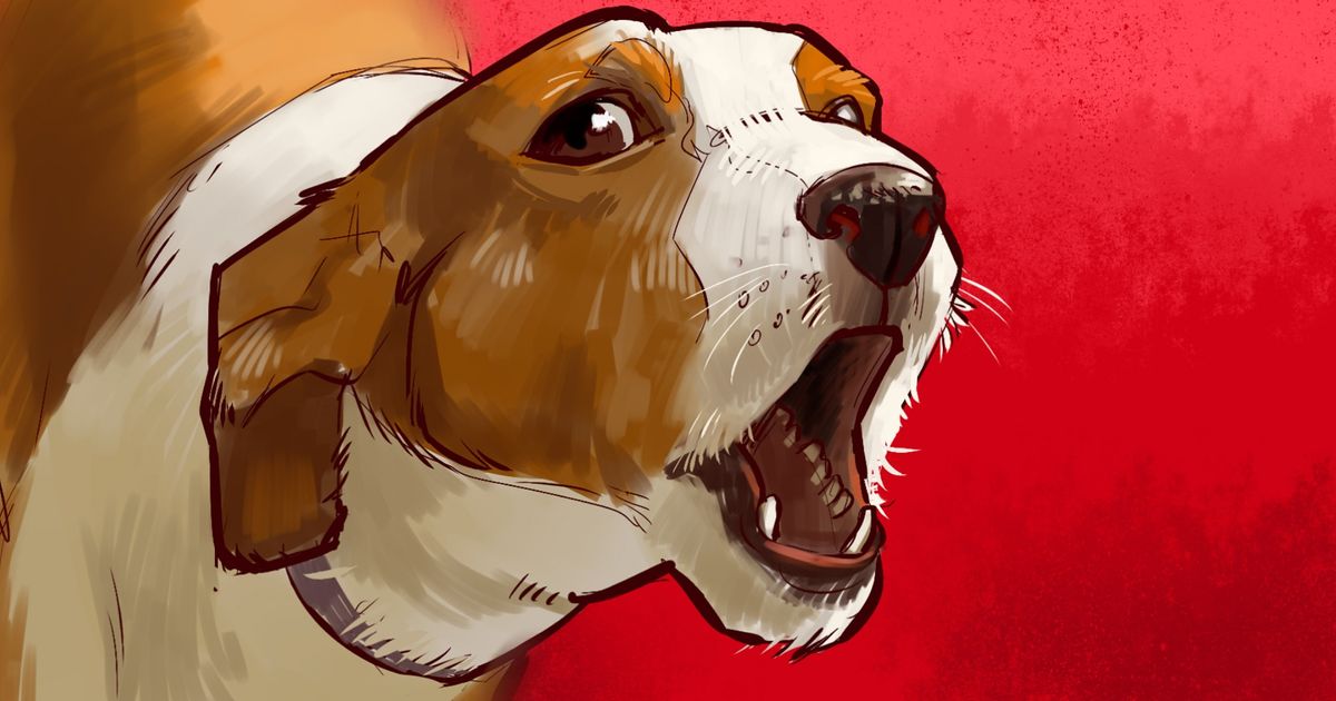 8 Reasons Why Your Dog Barks, and You’d Better Not Punish It for This