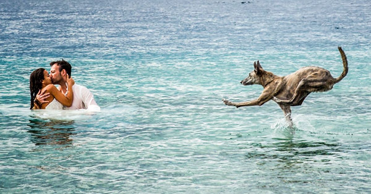 17 “Wow” Wedding Photos of 2018 That Took Our Breath Away