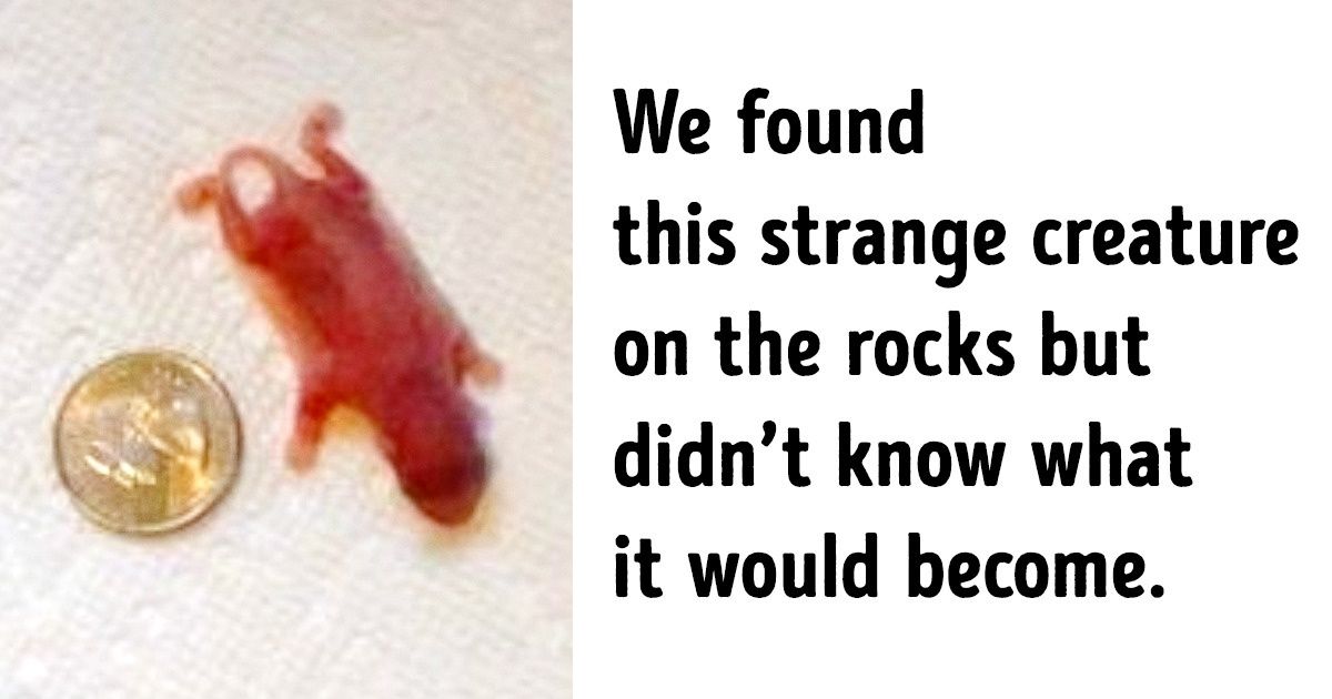 16 Terrific Findings That Were a Genuine Surprise 16 Terrific Findings That Were a Genuine Surprise
