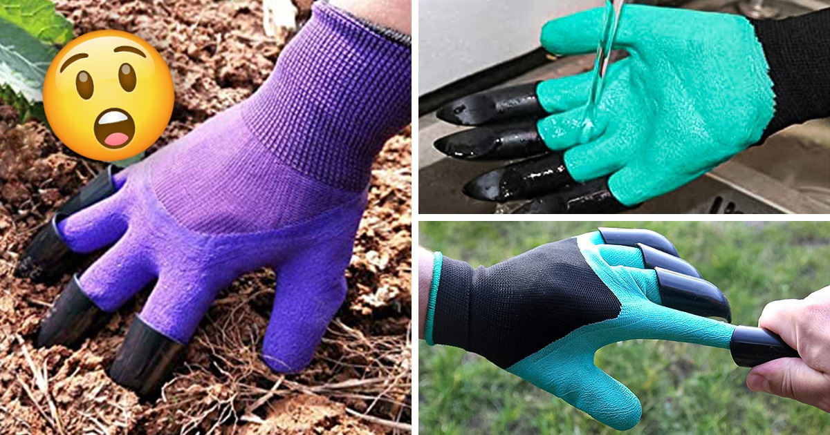 10 Reviewer-Loved Items From Amazon That Can Make Gardening Almost Absurdly Simple