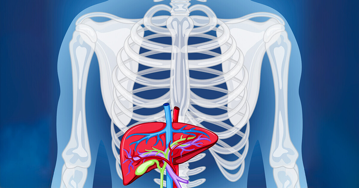 What Can Happen to Your Body If You Drink 2 Glasses of Kombucha Every Day