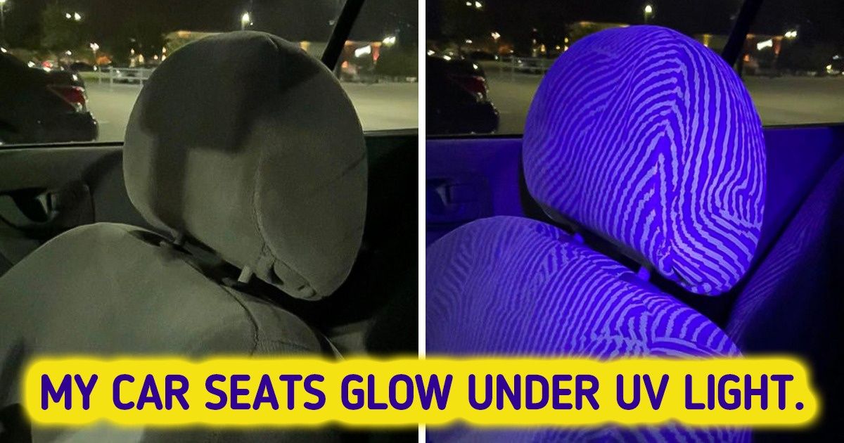 15+ Times the Universe Gave Us a Light to Enter a Parallel Dimension