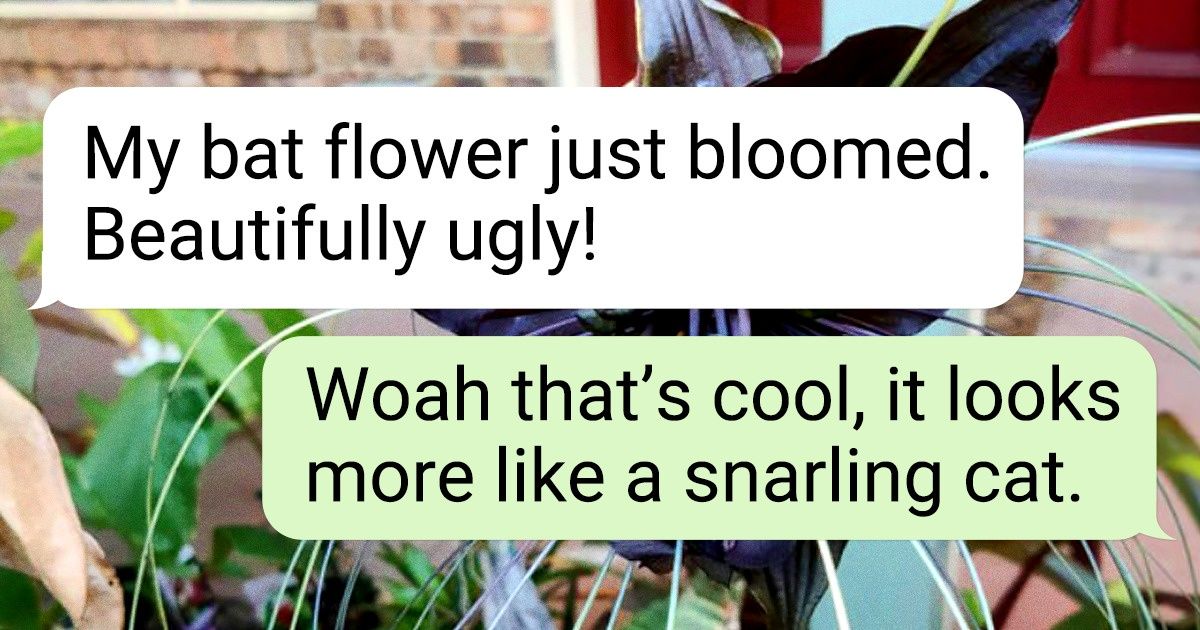 19 Plants That Really Love Showing Off 19 Plants That Really Love Showing Off
