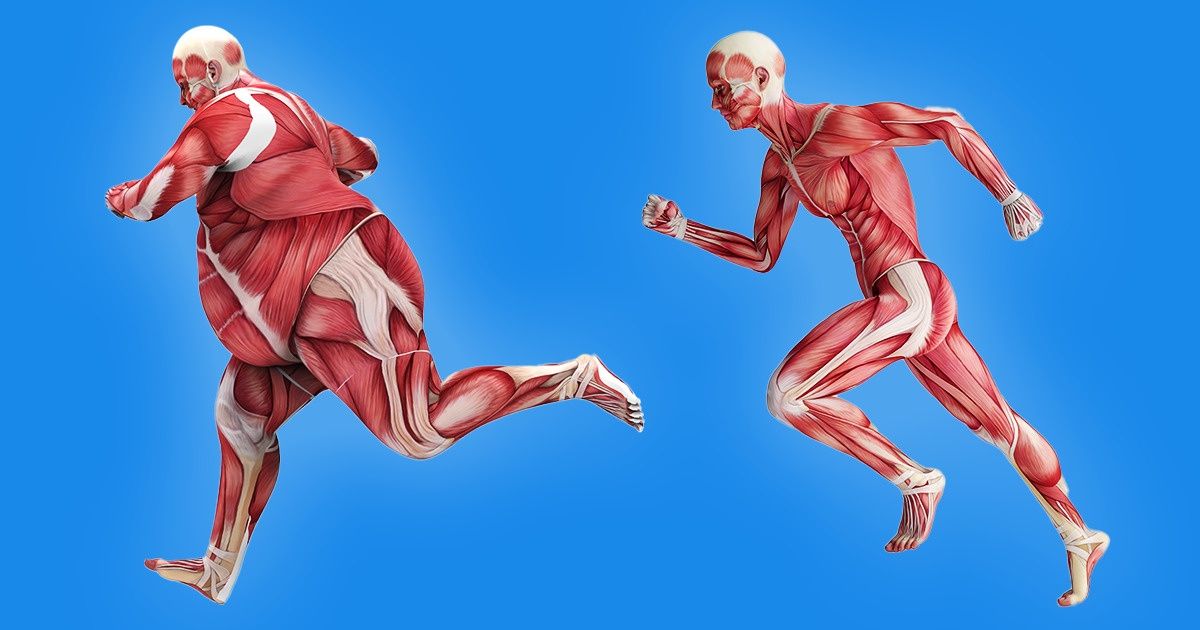 Which Parts of Your Body Will Get More Fit Depending on the Kind of Exercise You Choose