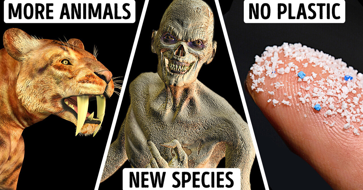 If Humans Never Appeared, What Creature Rules Earth?