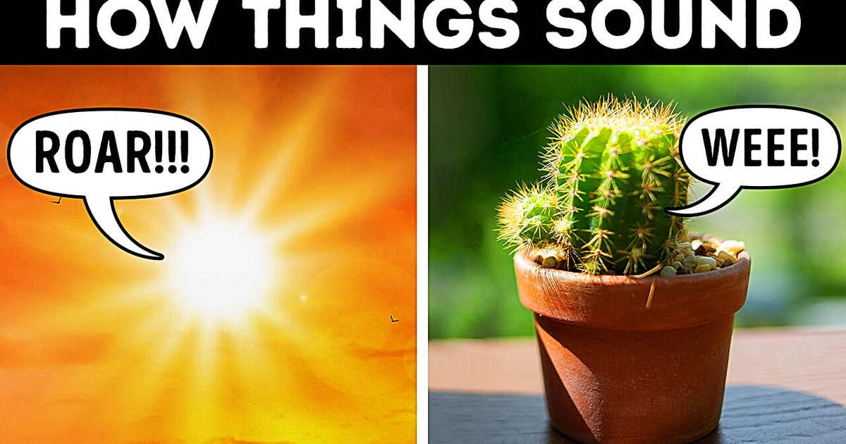 Your Cactus Screams at You + Other Sounds You Can’t Hear Your Cactus Screams at You + Other Sounds You Can’t Hear