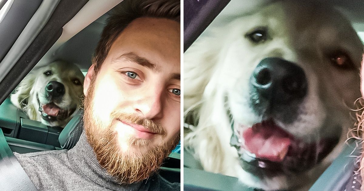 19 Selfies Where Pets Stole the Show 19 Selfies Where Pets Stole the Show