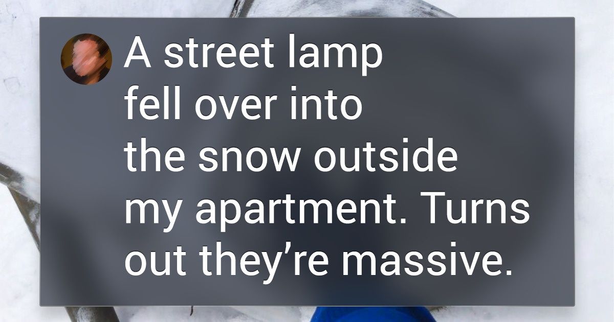 13 People Who’ve Found Unusual Counterparts to Common Things