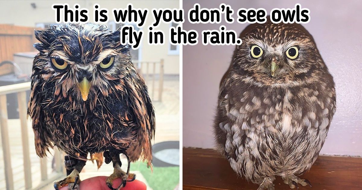 It’s Smile O’Clock! 15 Pics That Will Boost Your Mood in a Second