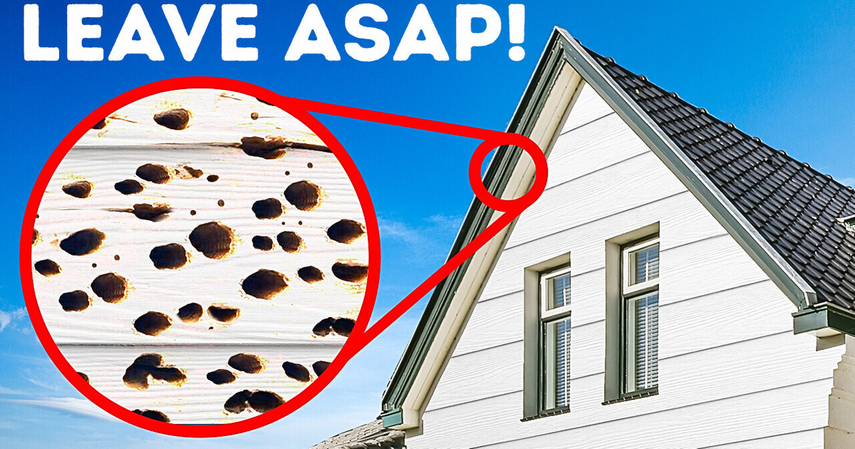 11 Things Your Real Estate Agent May Not Share with You