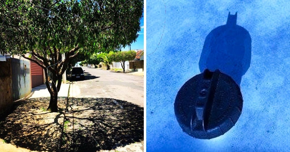25 Times Shadows Turned Ordinary Images Into Works of Art