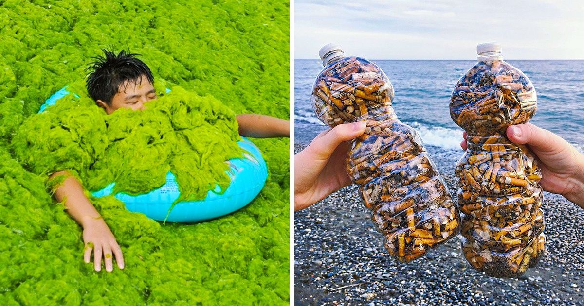 20+ Horrifying Photos That Show How Far We Went With Planet Pollution 20+ Horrifying Photos That Show How Far We Went With Planet Pollution