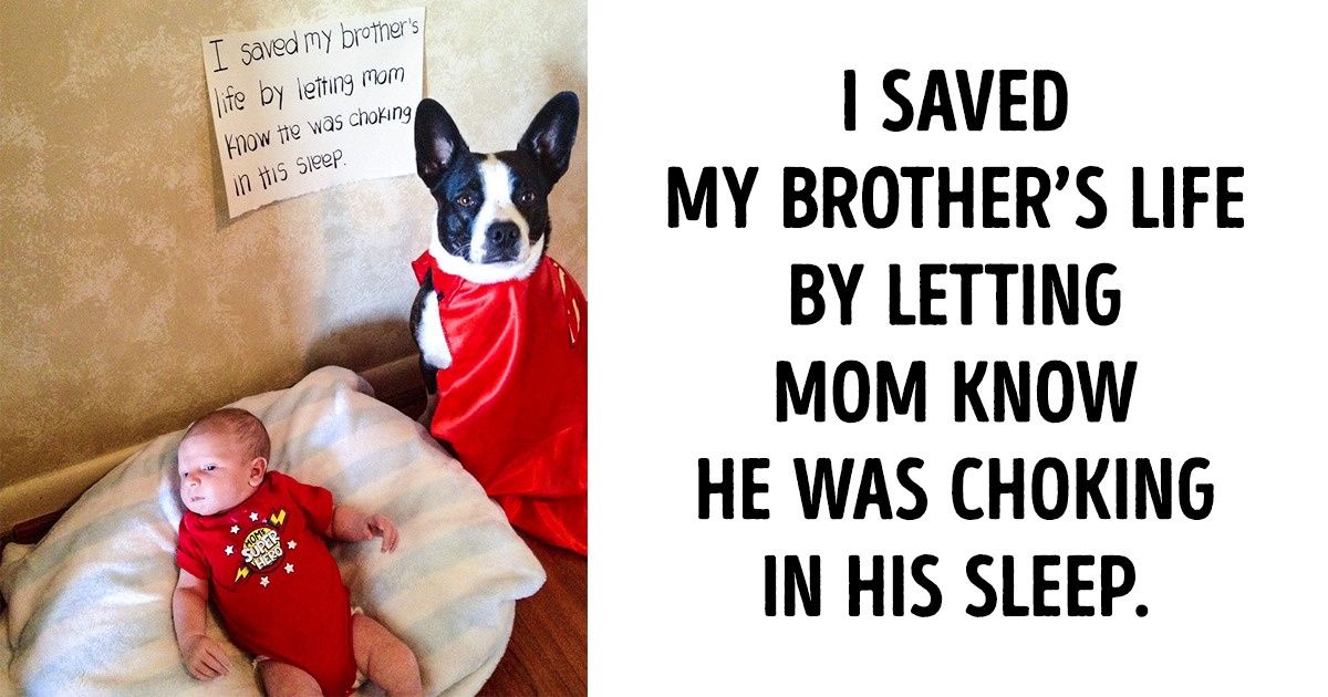 20 Zealous Animals Who Know How to Make This World a Better Place