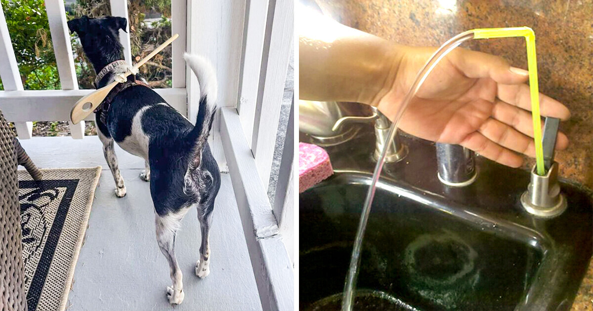 10 Nightmarish Engineers Who Weirdly Manage to Work It Out