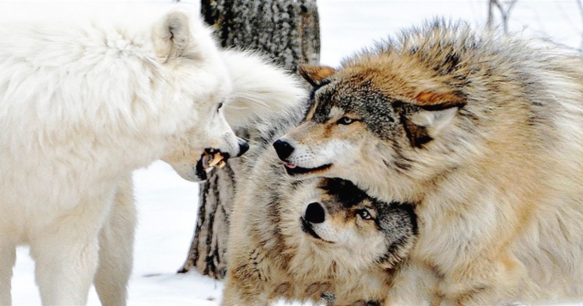 31 powerful photographs that will touch your heart 31 powerful photographs that will touch your heart