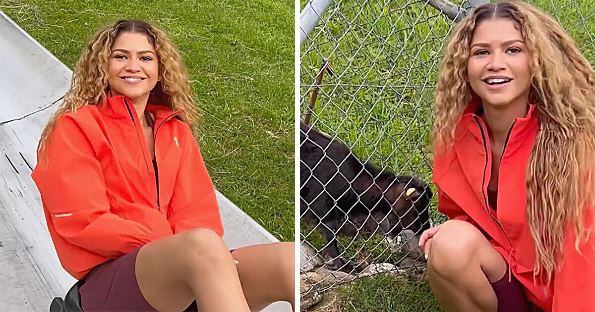Zendaya Surprises Followers With Her Latest Look — One Detail Stands