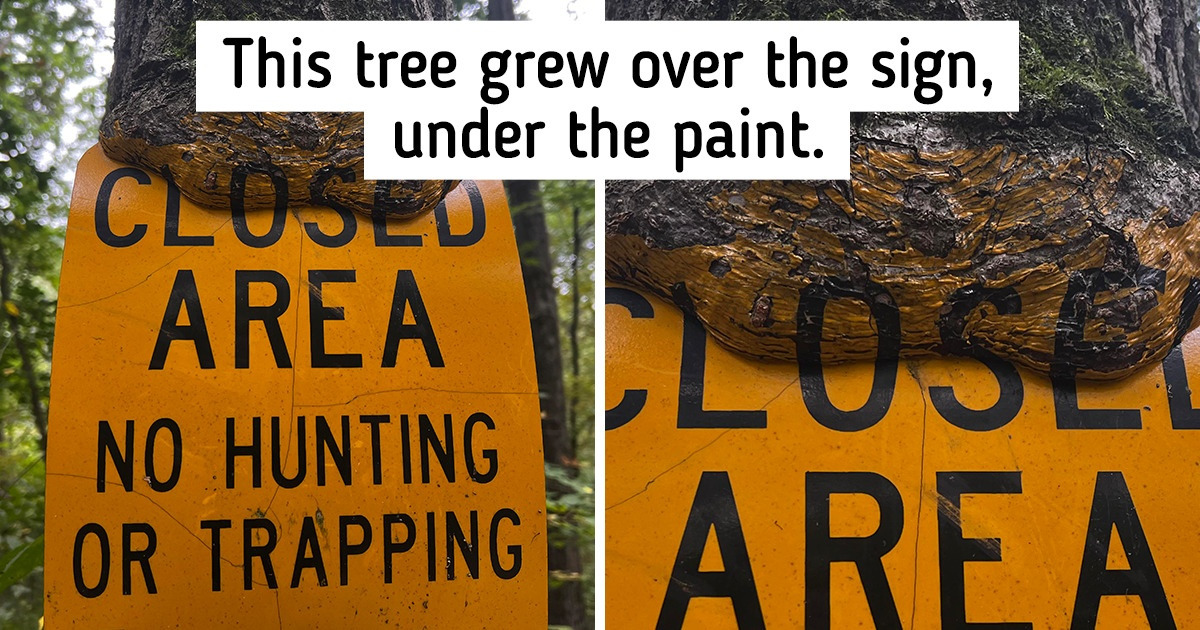 20 Pictures That Leave Us Confused, Wanting Another Look