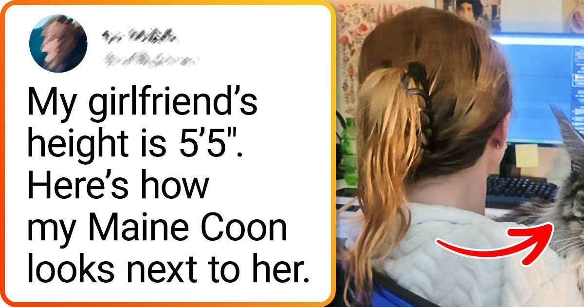 18 Photos That Prove Large Animals Possess Magnetic Charisma