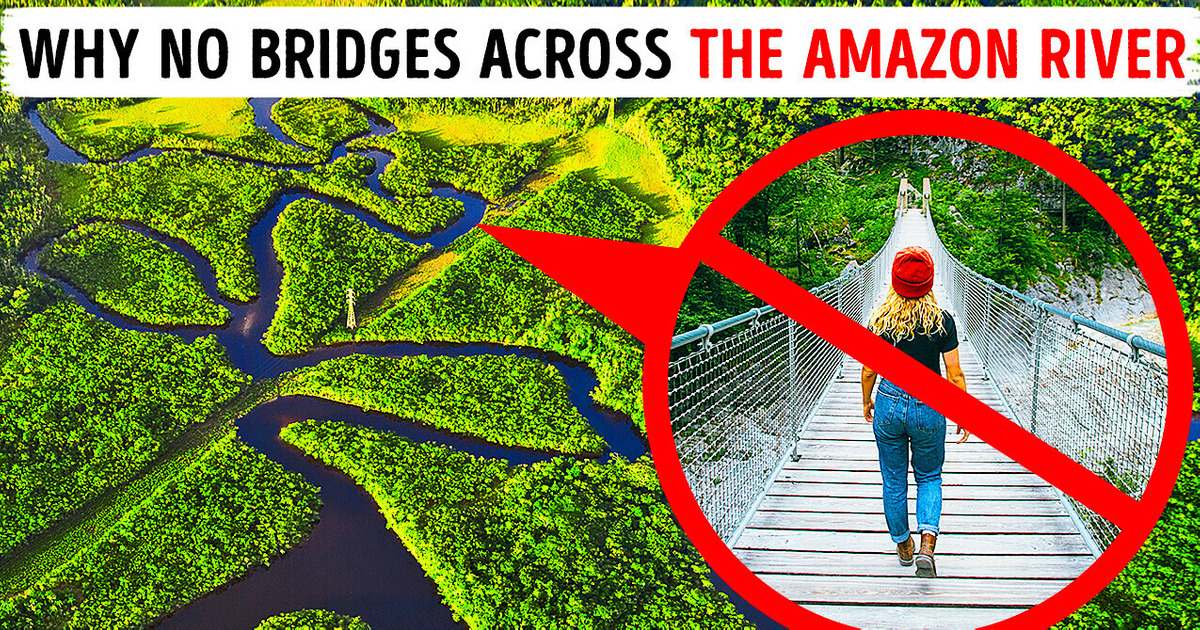 What Stops Them Building Bridges Over Amazon River What Stops Them Building Bridges Over Amazon River