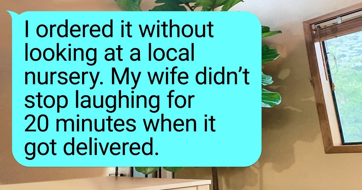 20+ People That Love House Plants More Than Candy