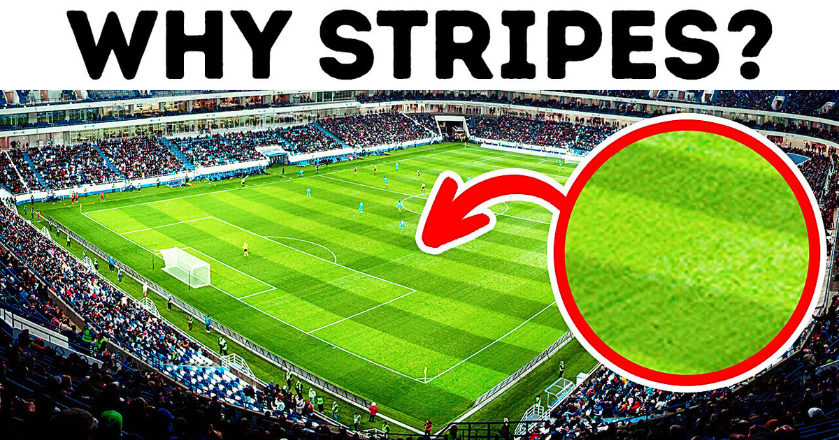 Why Football Fields Have Stripes + 15 Interesting Footbal Facts Why Football Fields Have Stripes + 15 Interesting Footbal Facts