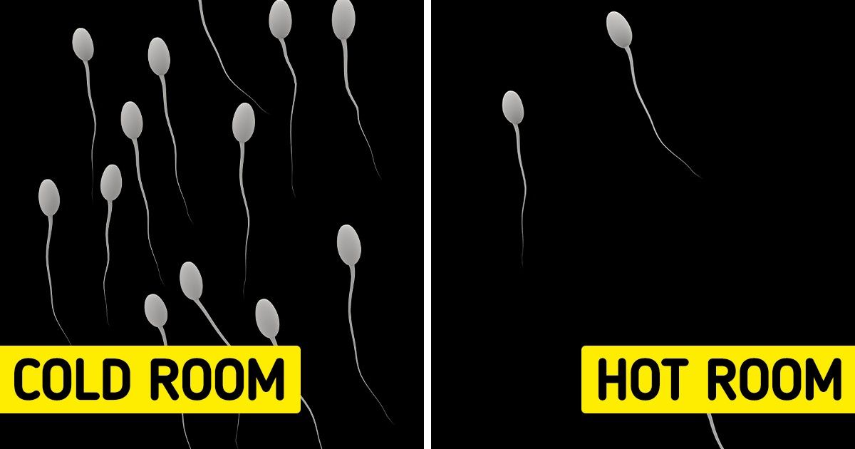 9 Reasons Why Sleeping in a Cold Room Is Better for You 9 Reasons Why Sleeping in a Cold Room Is Better for You