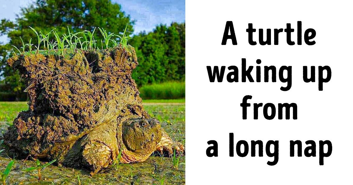 21 Photos You Need to See to Understand the World Better 21 Photos You Need to See to Understand the World Better